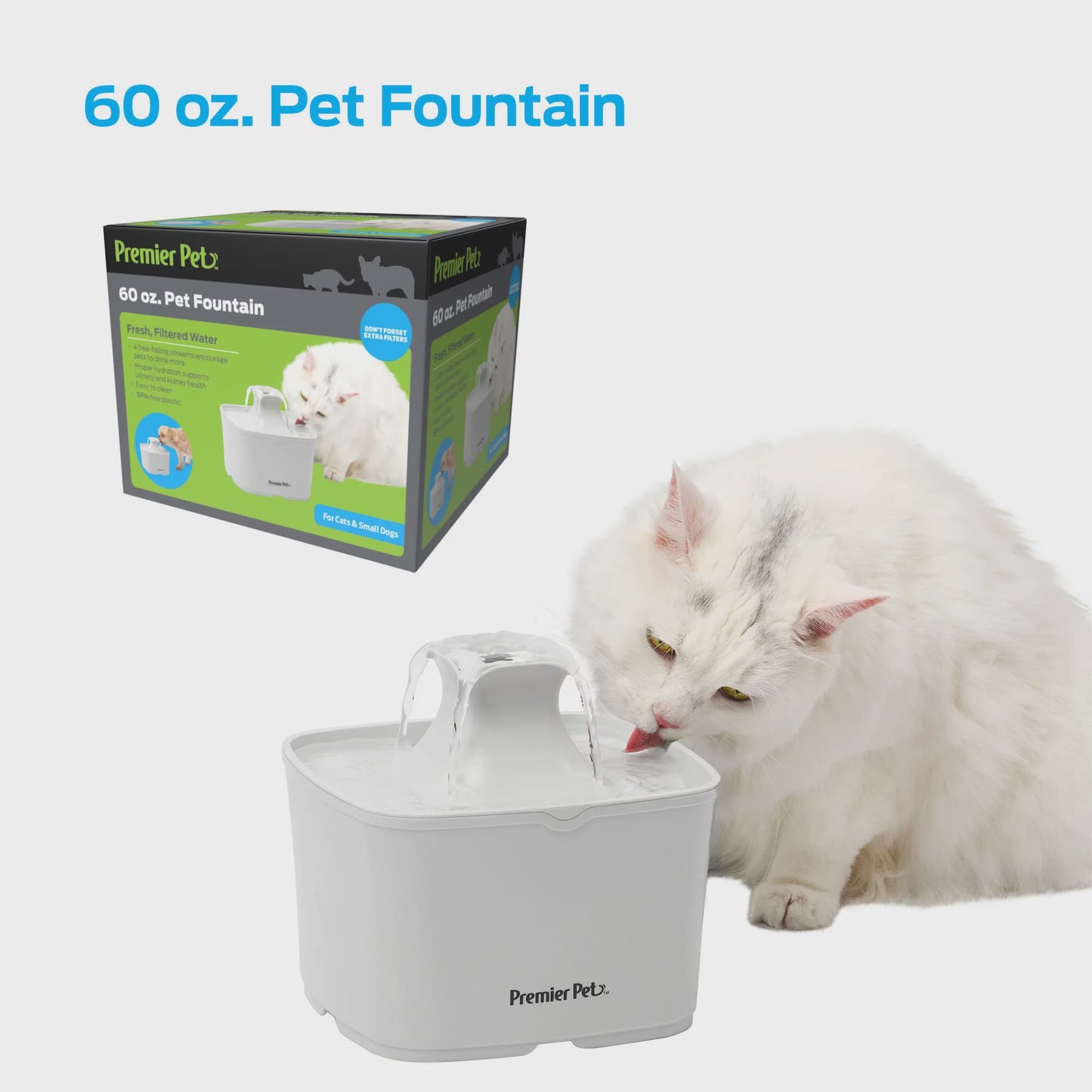 Automatic Pet Fountain with 60 Oz Capacity