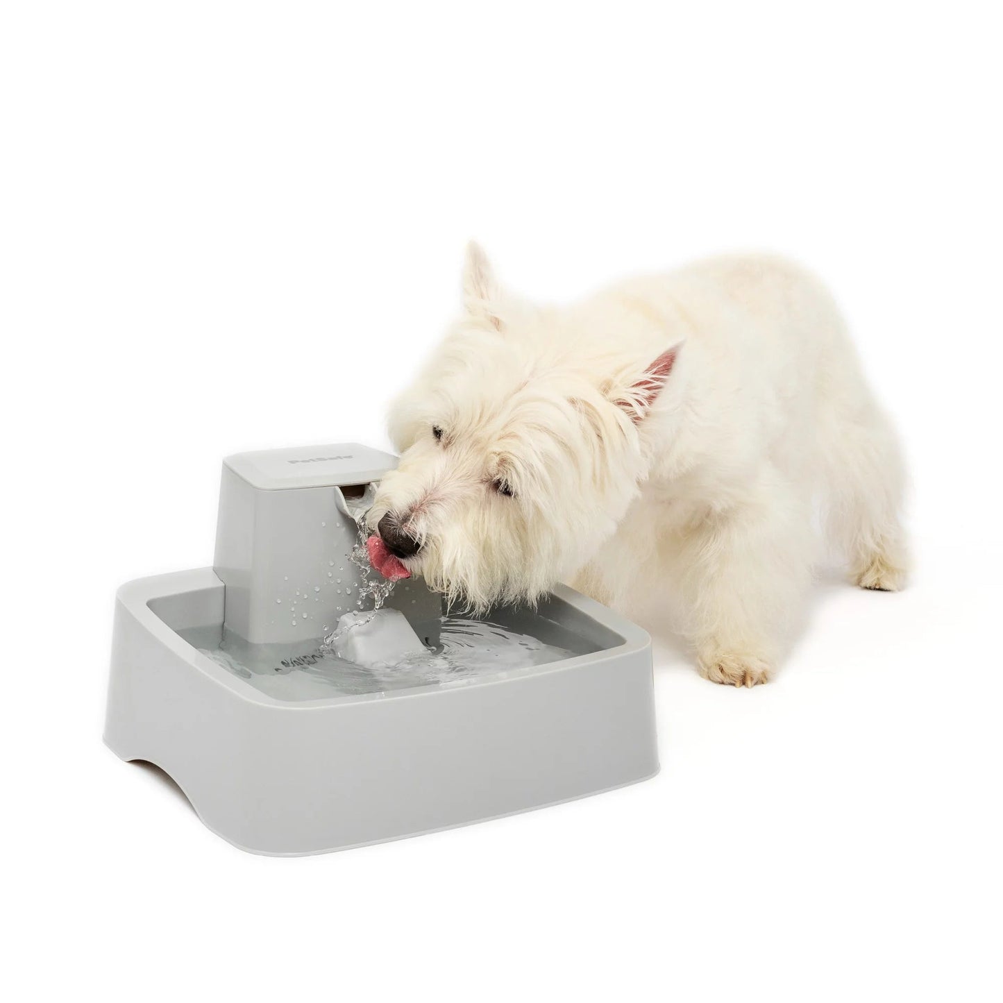 Pet Fountain in 1 Gallon Gray