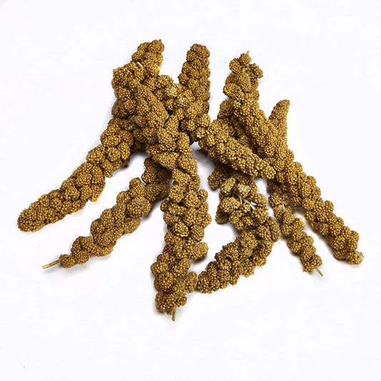 Natural Spray Millet for Bird