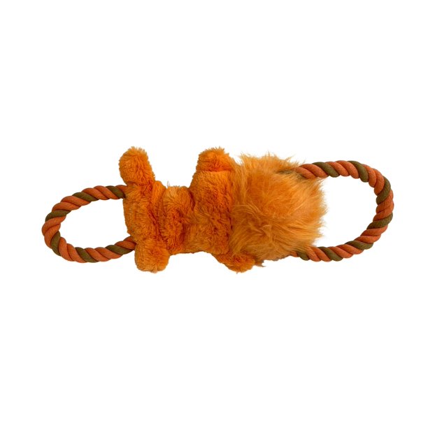 Pet Toy in Orange