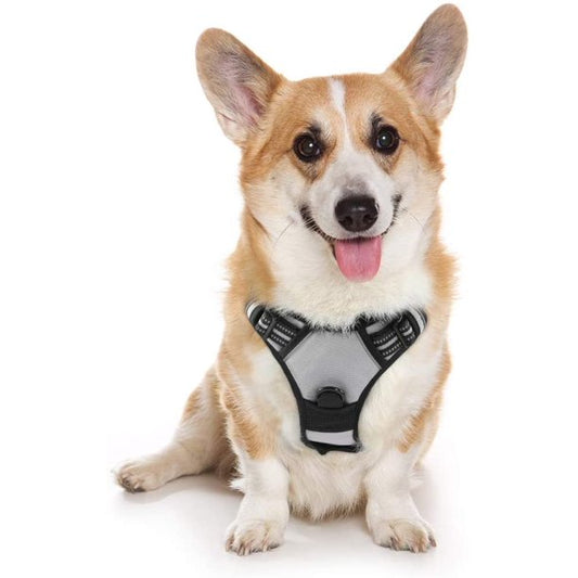 Dog Harness Medium in Light Gray