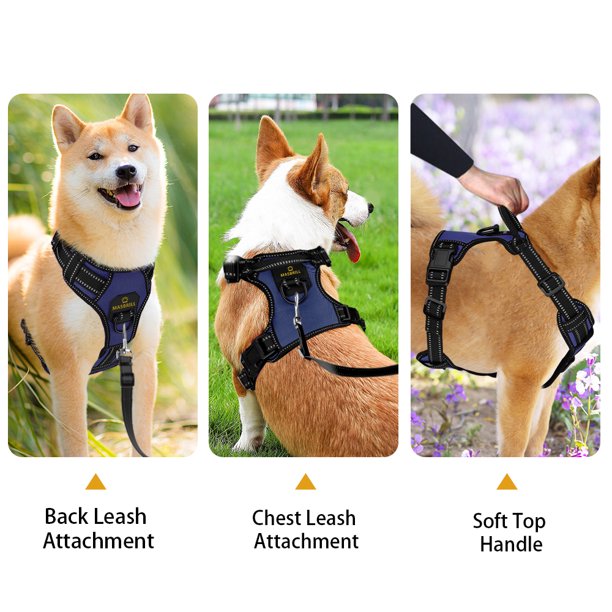 Dog Harness in Medium Blue