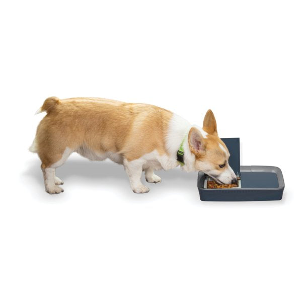 Digital 2 Meal Pet Feeder in Blue