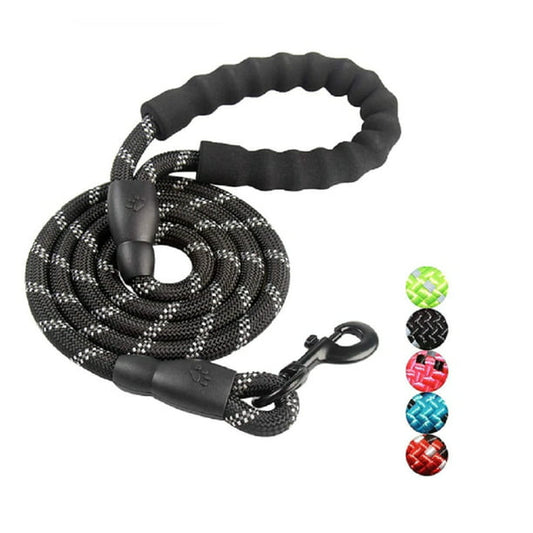 Dog Leash with Padded Handle in Black 5 feet