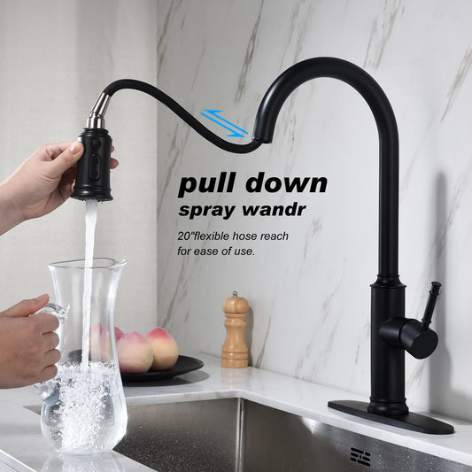 Kitchen Faucet with Pull Out Spray