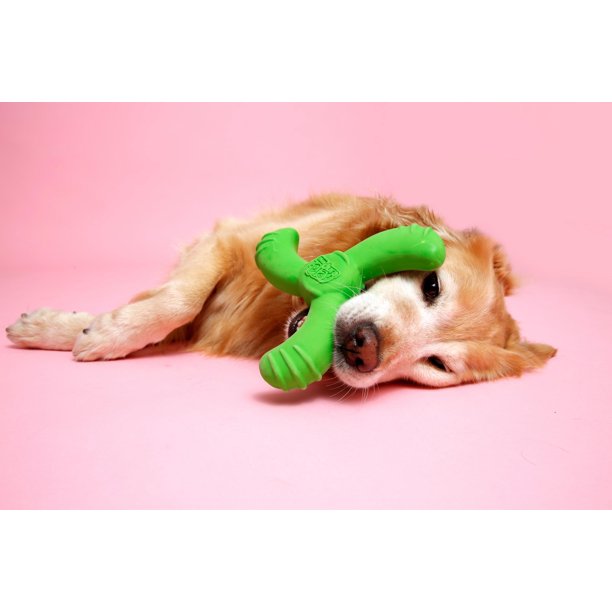 Dura Play Boomerang Dog Toy