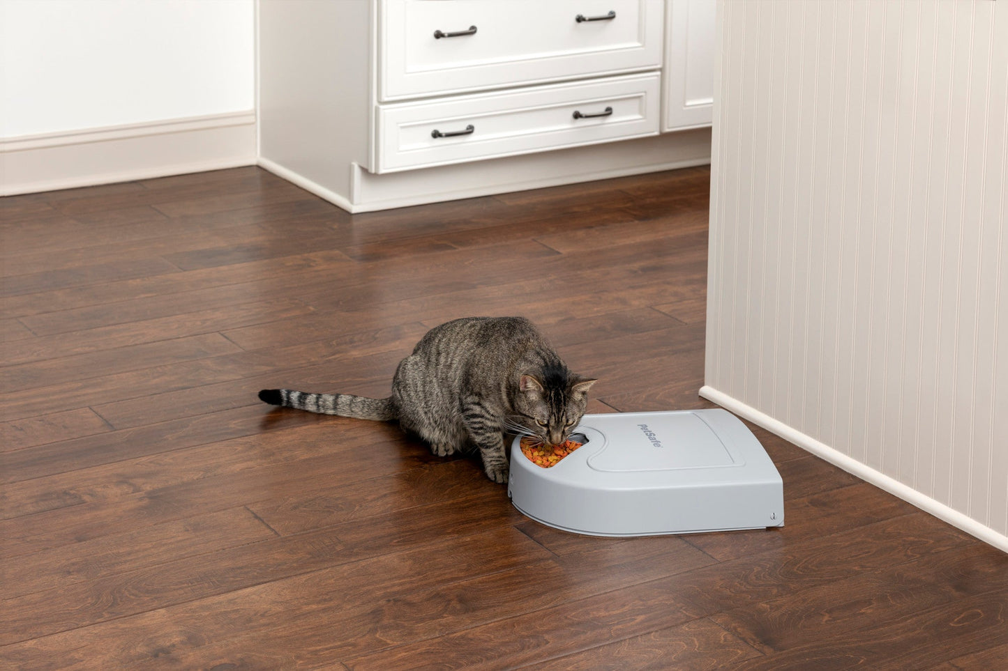 Pet Food Dispenser 5 Meal Portion