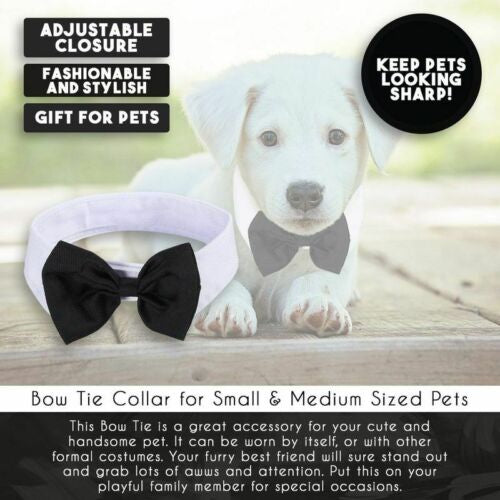 Tie Pet Collar