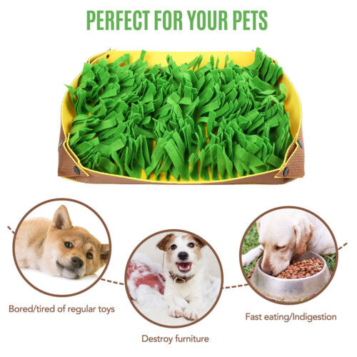 Dog Snuffle Mat