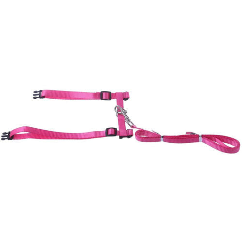 Cat Leash and Harness Set