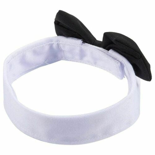 Tie Pet Collar