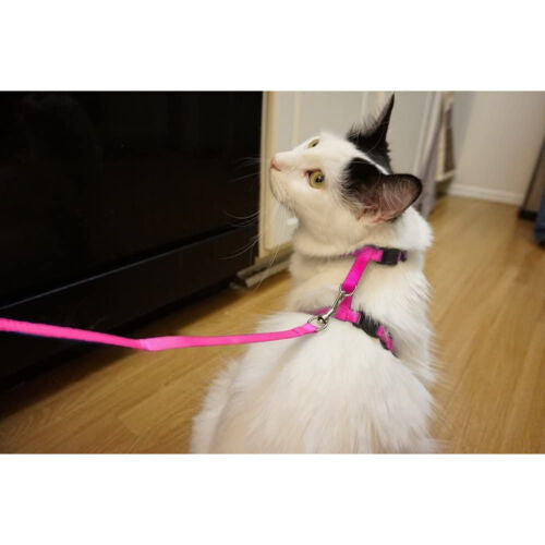 Cat Leash and Harness Set