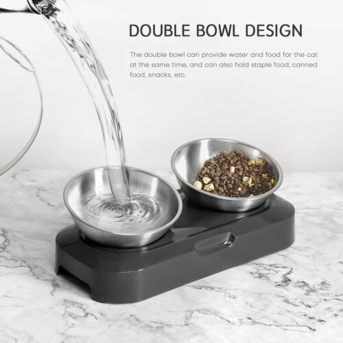 Raised Pet Bowl Tilted Elevated Nonslip Stainless Steel Feeder