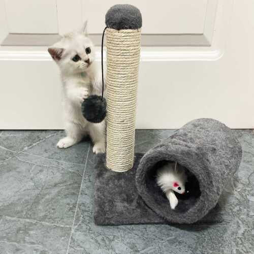 Cat Scratching Post Toy