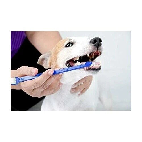 Pet Toothbrush Set