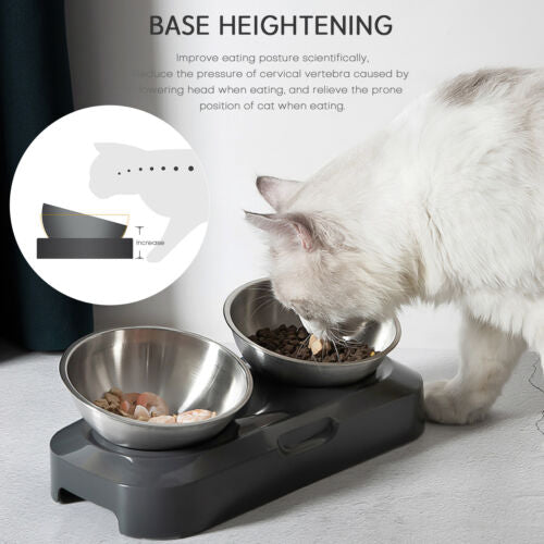 Raised Pet Bowl Tilted Elevated Nonslip Stainless Steel Feeder