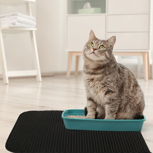 Cat Litter Mat in Waterproof 24x15 Inches