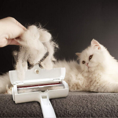 Pet Hair Lint Remover in Grey White