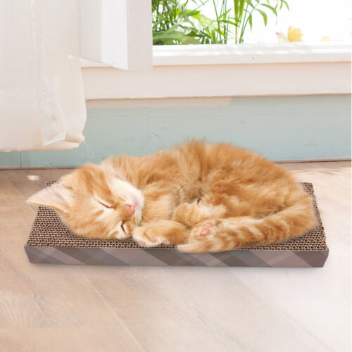 Cat Scratch Cardboard and Sofa Bed Post