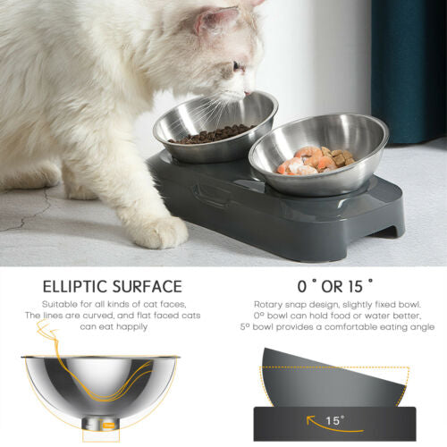 Raised Pet Bowl Tilted Elevated Nonslip Stainless Steel Feeder