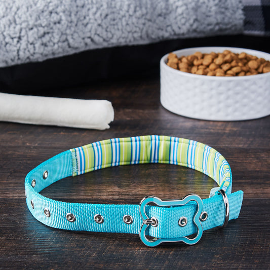 Comfort Padded Dog Collar in Teal Striped Large