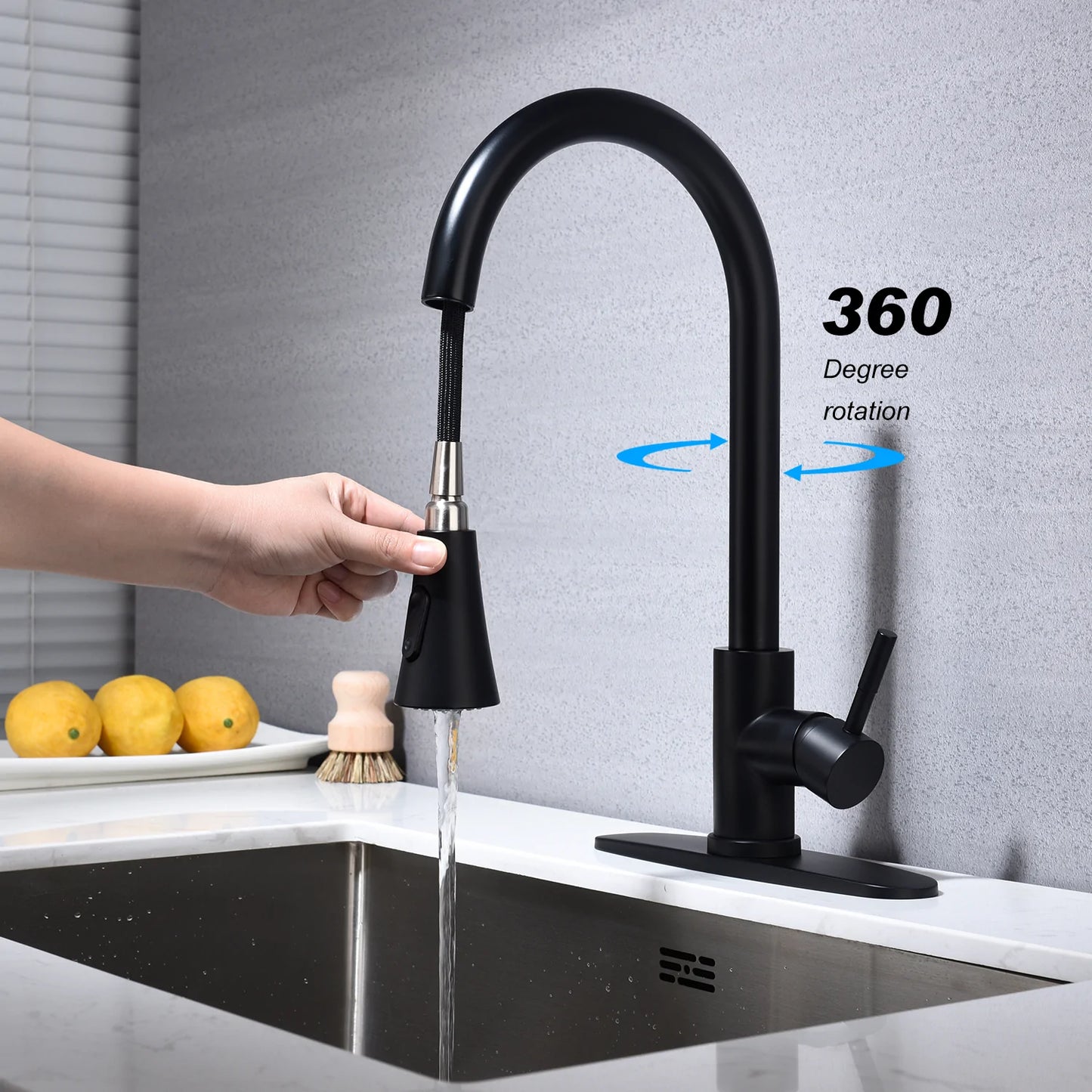 Kitchen Faucet with Pull Out Spray