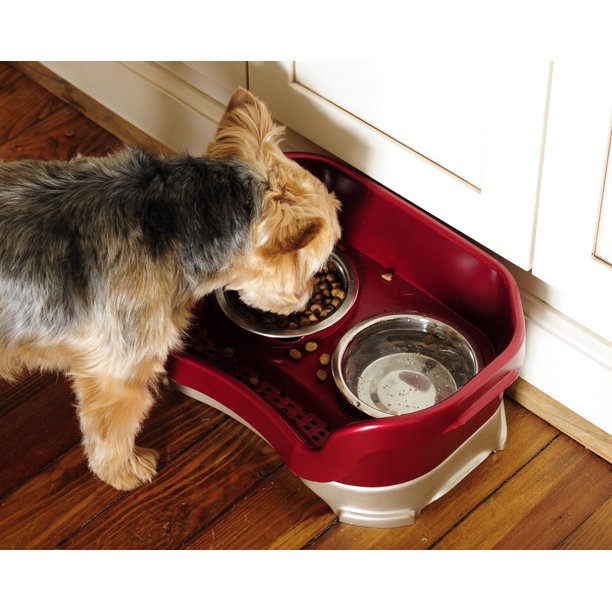 Pet Feeder With Leg Extensions for Small Dogs in Cappuccino