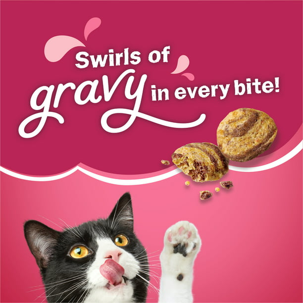 Gravy Dry Pet Food