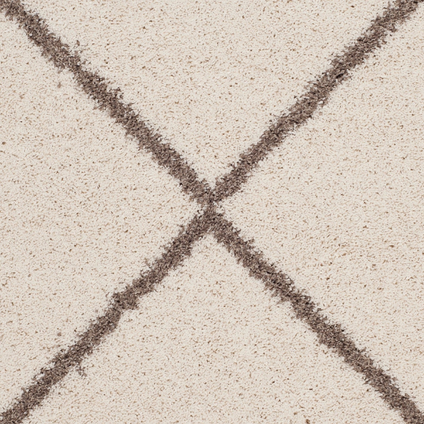 Geometric Area Rug in Beige