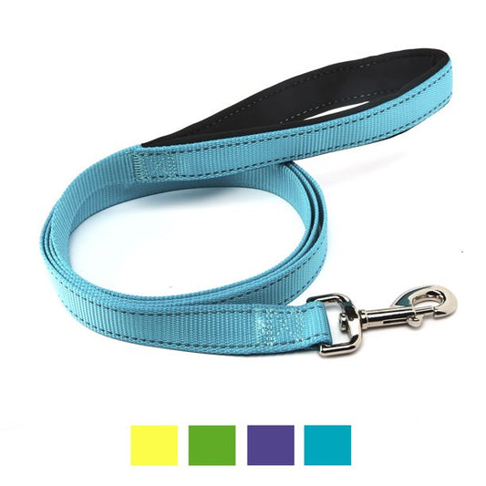 Nylon Pet Leash Teal in Medium