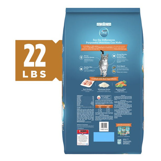 Purina ONE Dry Cat Food With Real Chicken 22 Pounds