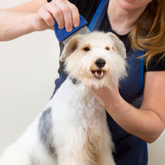 Cleaning Pet Hair Brush