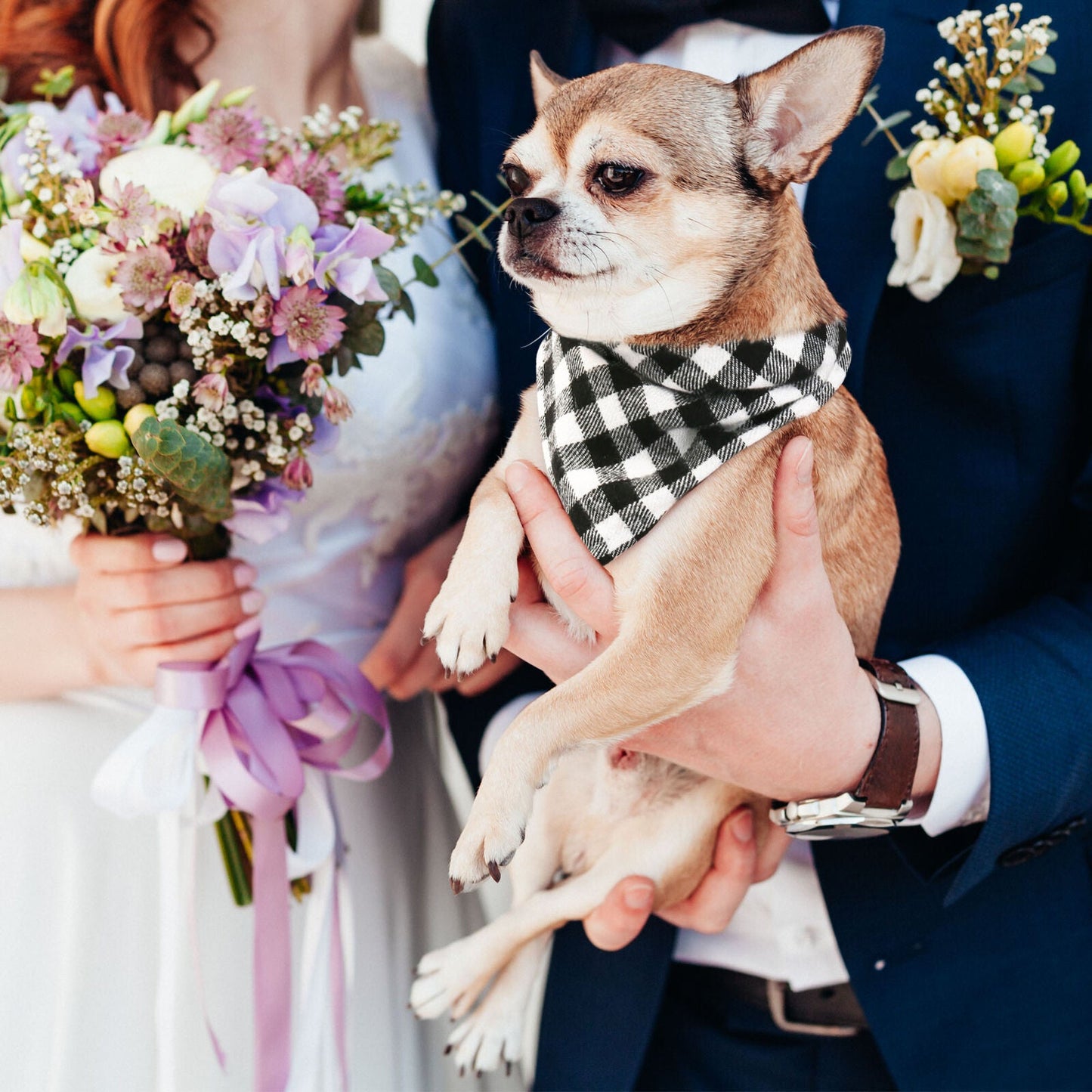 Cotton Dog Bandana