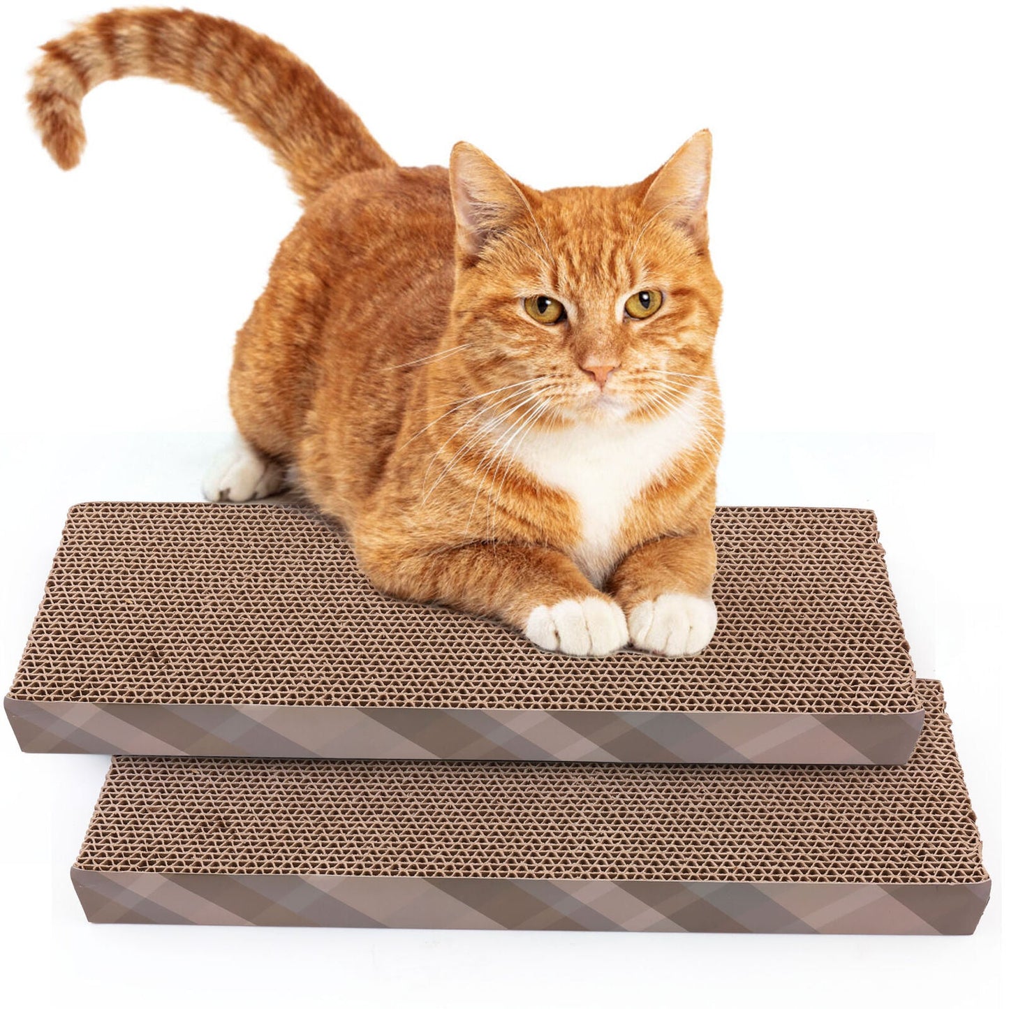 Cardboard Pet Mat Toy