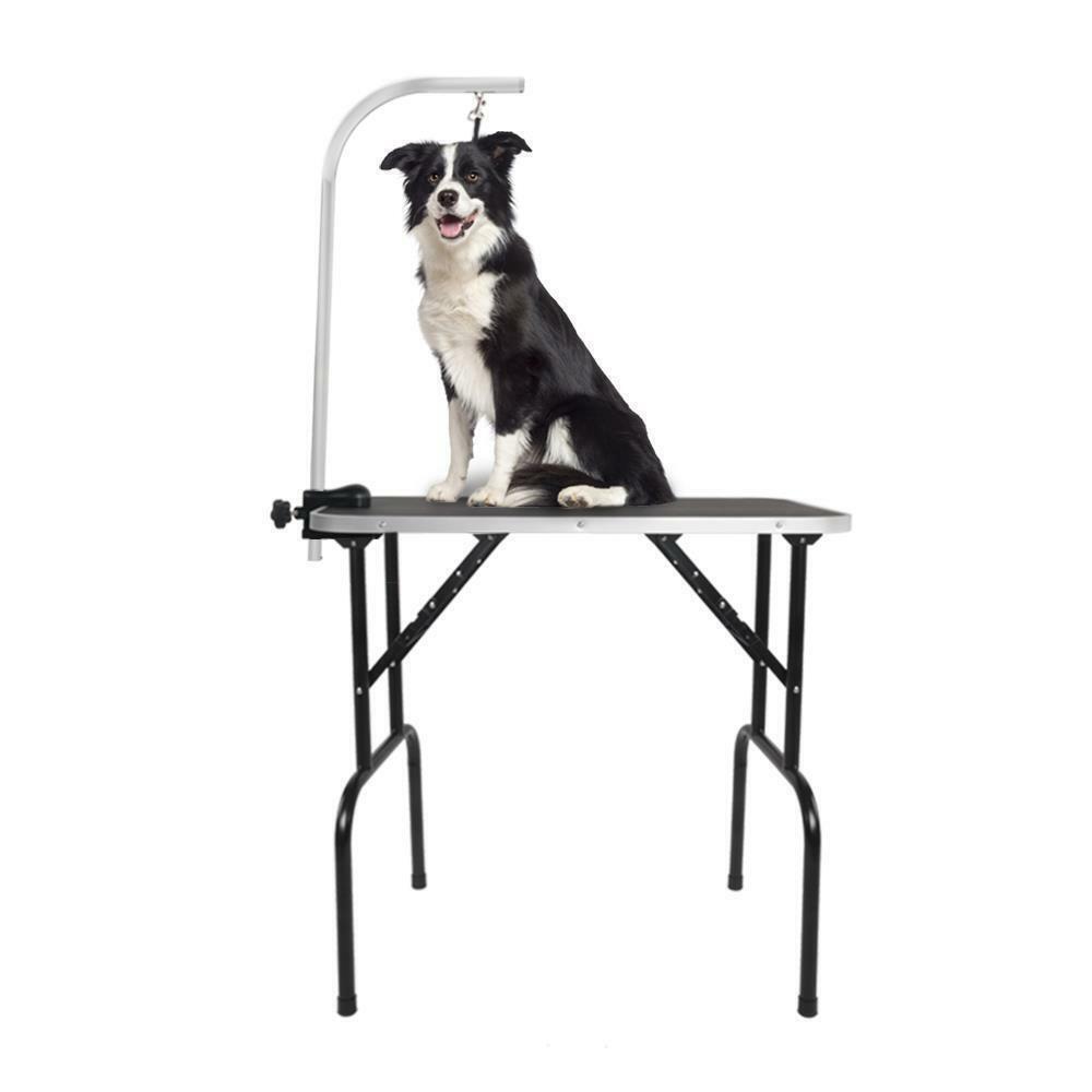 Grooming Table with Arm and Noose Rubber