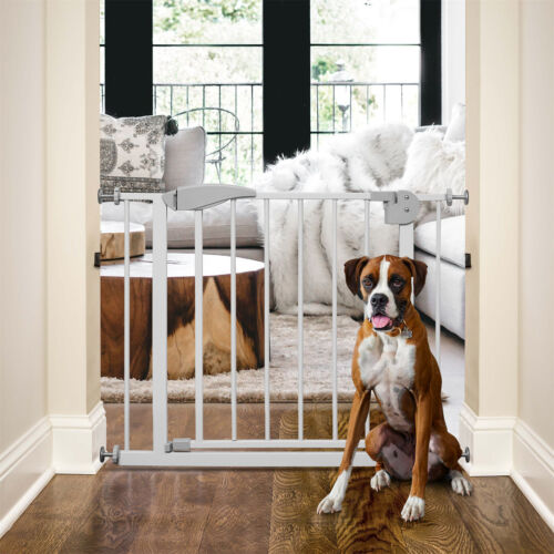 Walk Through Pet Gate in  White