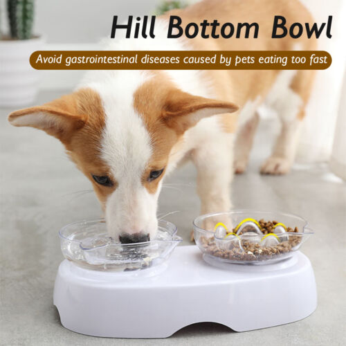 Pet Bowl to Slow Eat Double