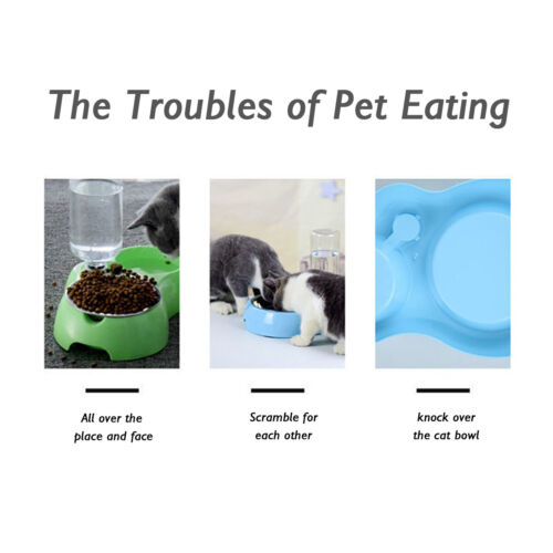 Pet Bowl to Slow Eat Double